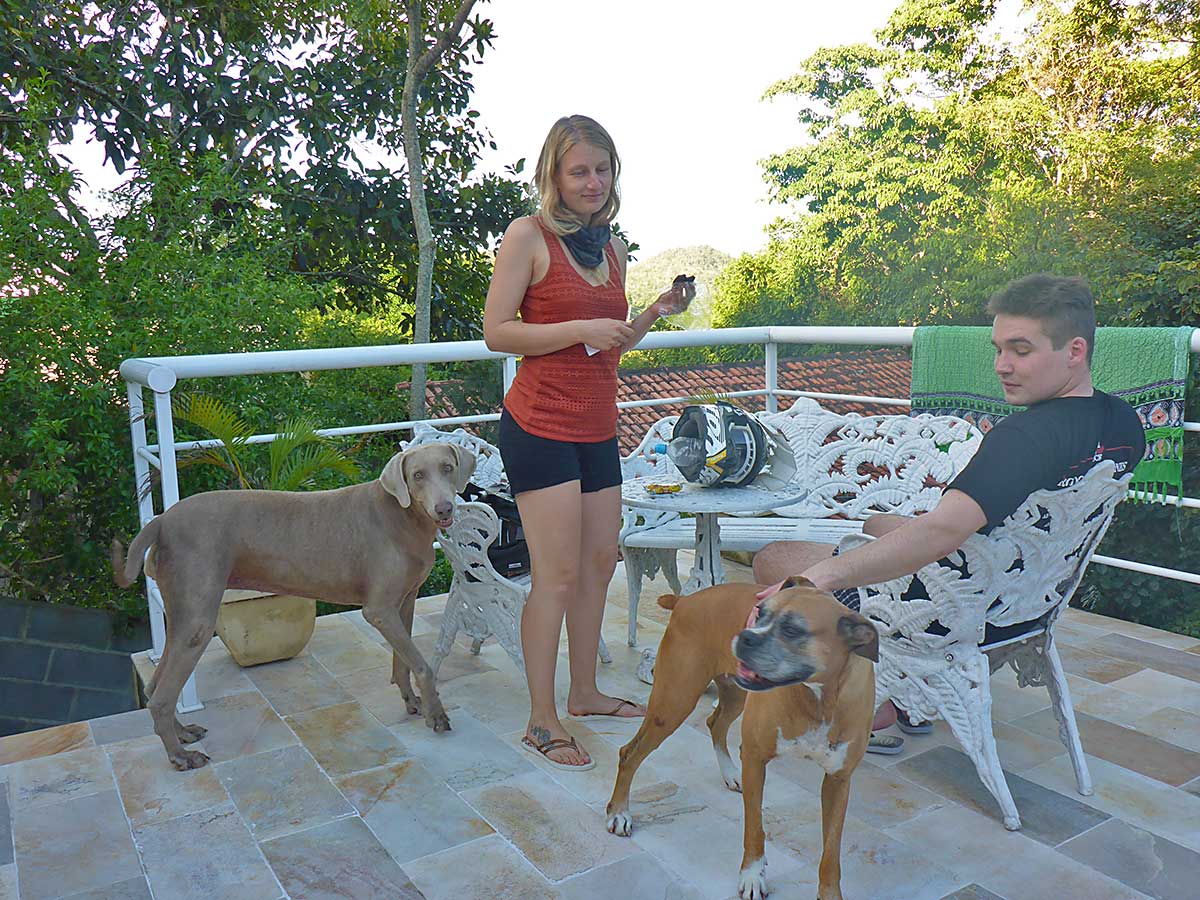 04 Die Hunde der Familie Novellini in Niteroi