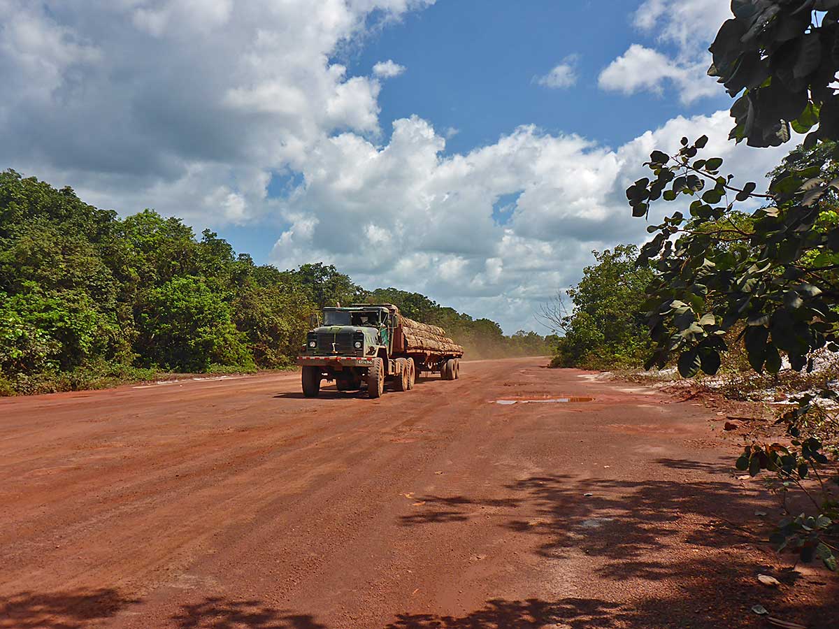 19 Holztrucks im Amazonas Guyanas