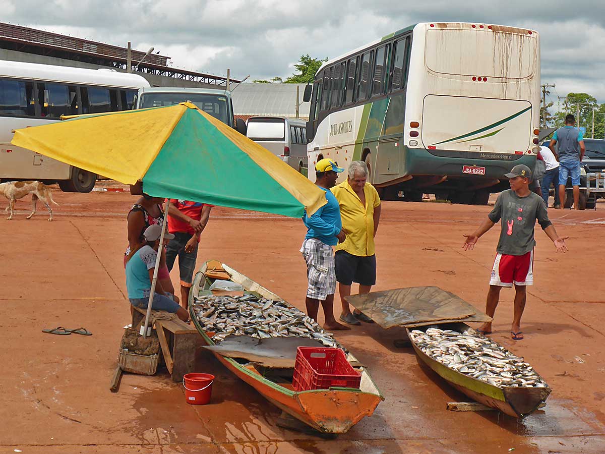 29 Fischverkauf an der Straße in Brasilien